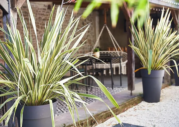 Demeure De Manneville - - 1km Des Plages De Cabourg Bed & Breakfast